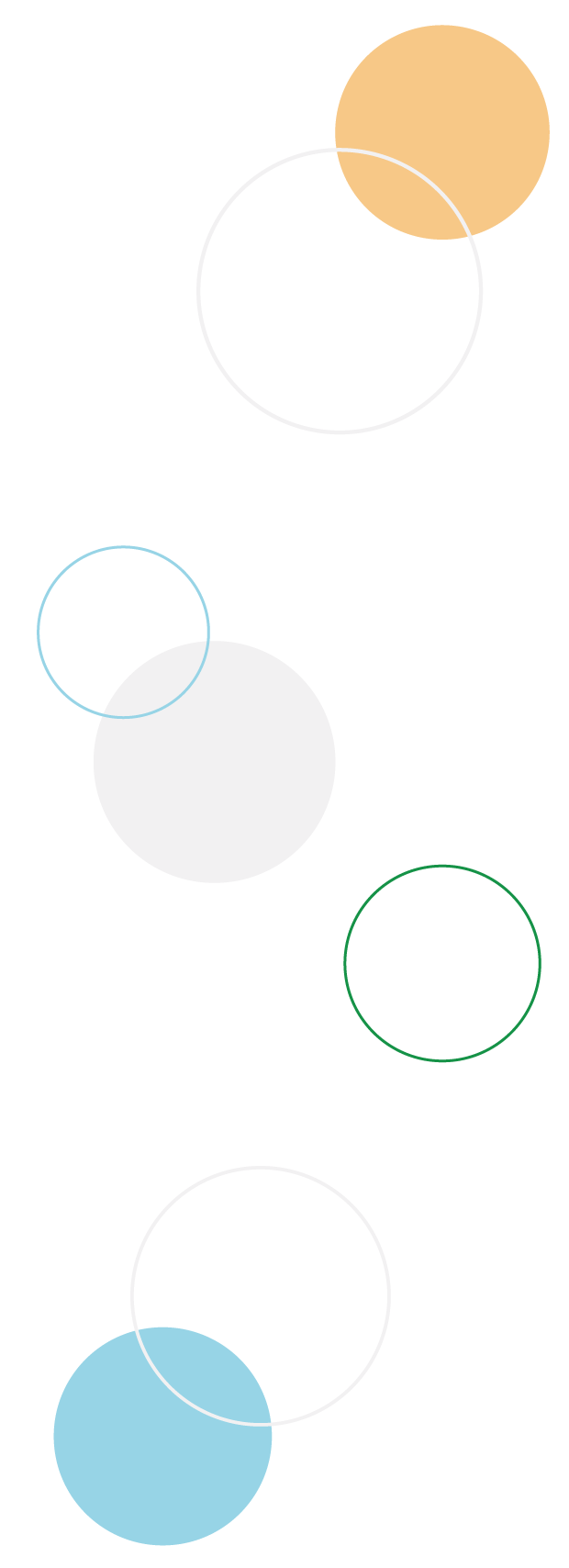 A row of colorful circles on a white background.