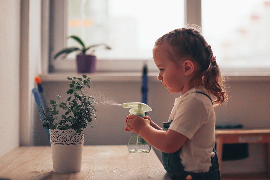 A little girl is spraying a plant with a spray bottle.