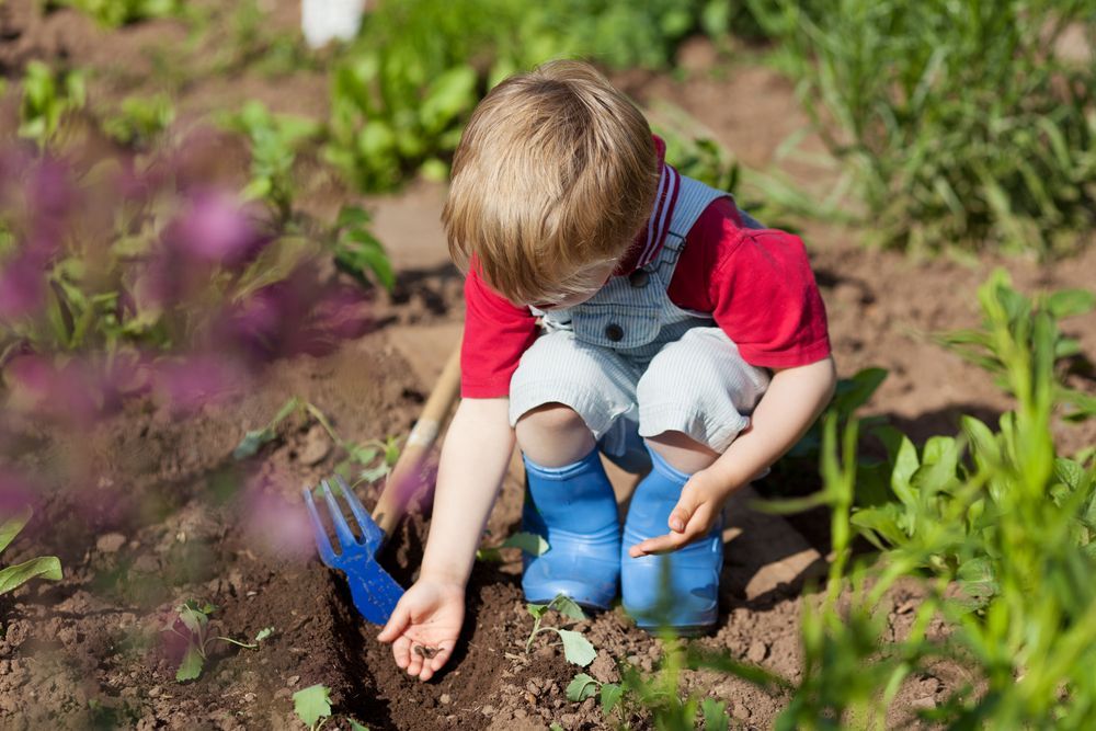 preschooler putting seeds in soil to show benefits of preschoolers gardening