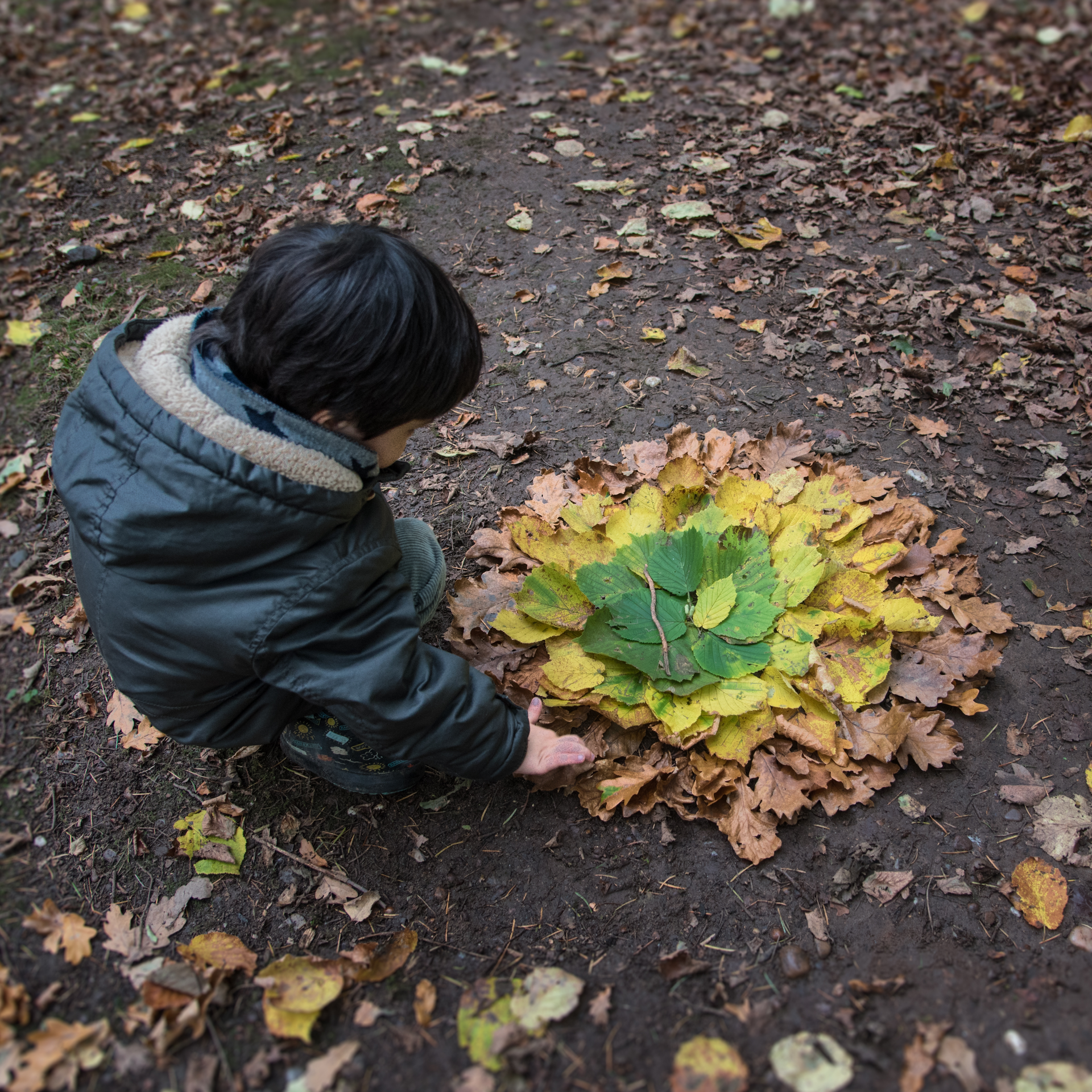 A young boy is playing with leaves on the ground