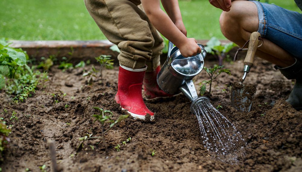 little boy with red rainboots gardening 