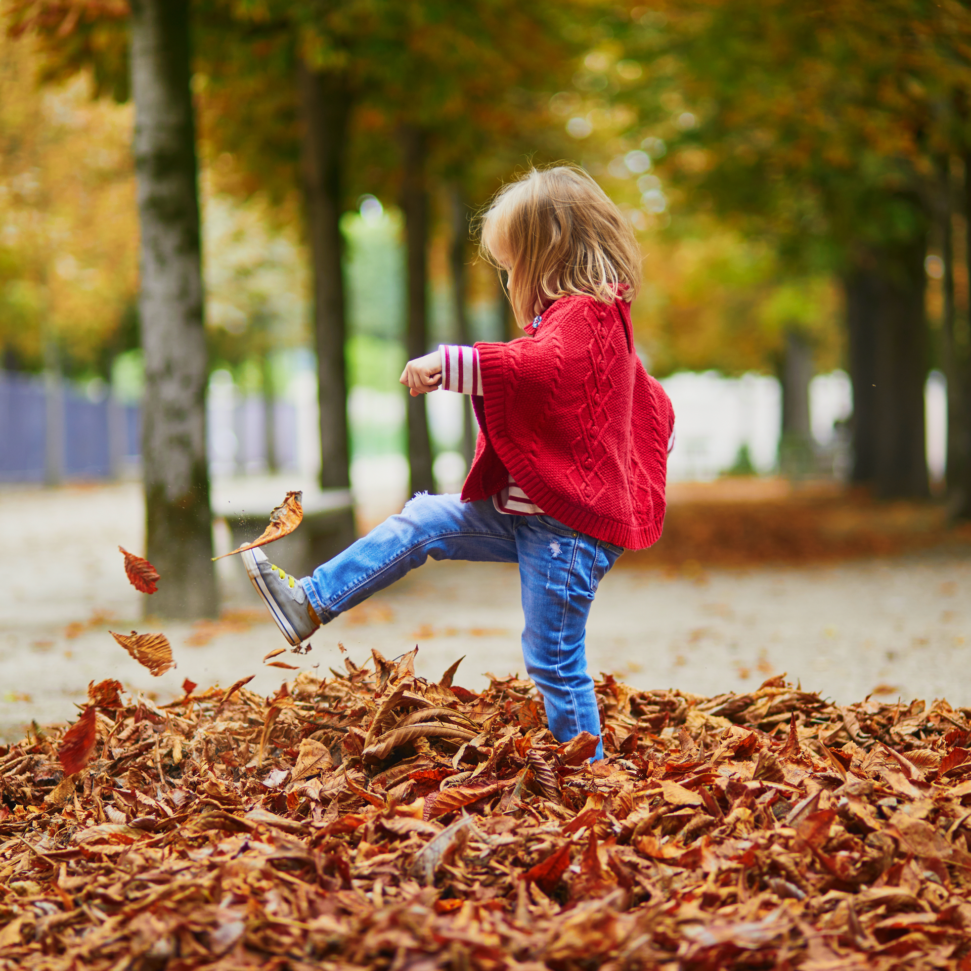 A little girl is standing in a pile of leaves.