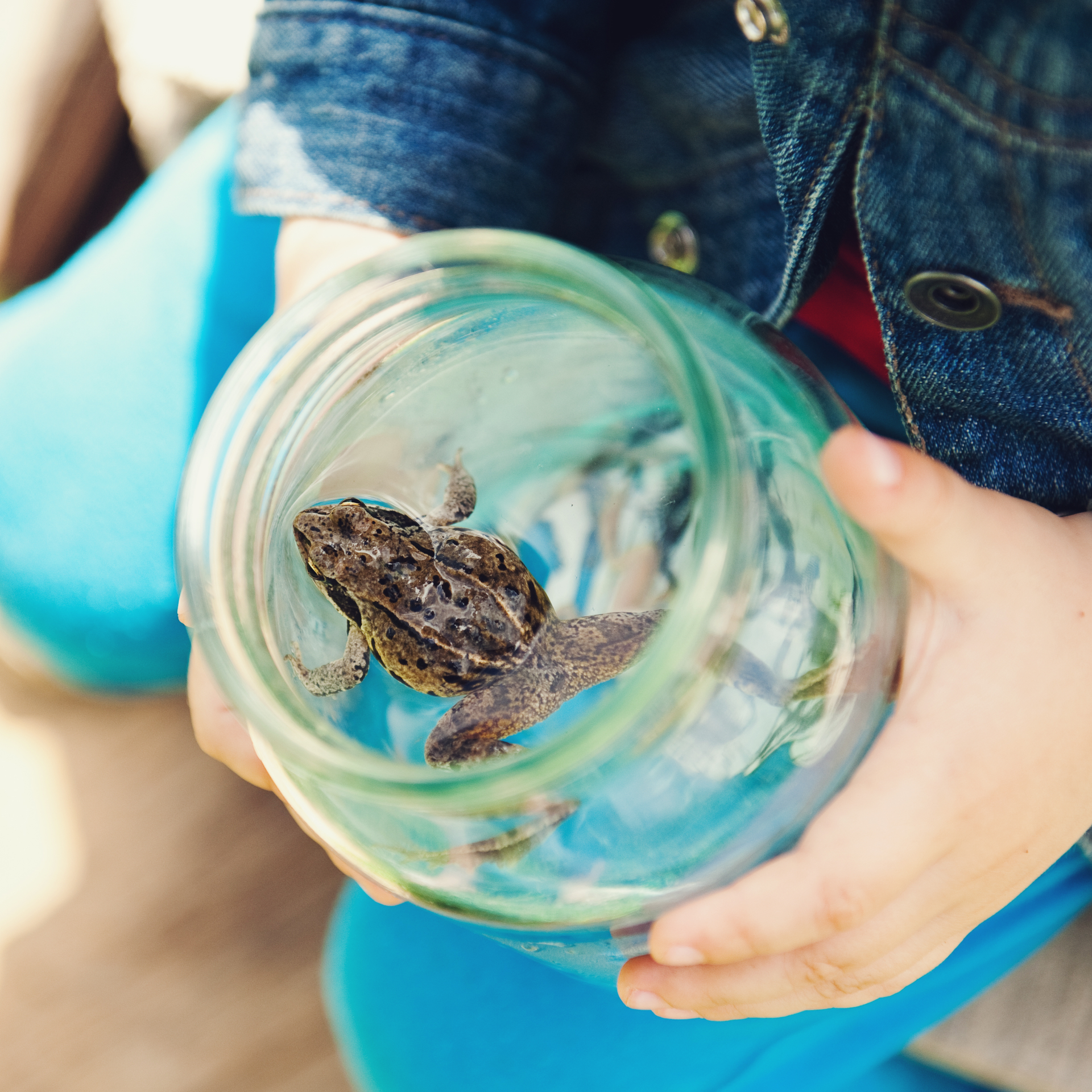 A child is holding a jar with a frog in it