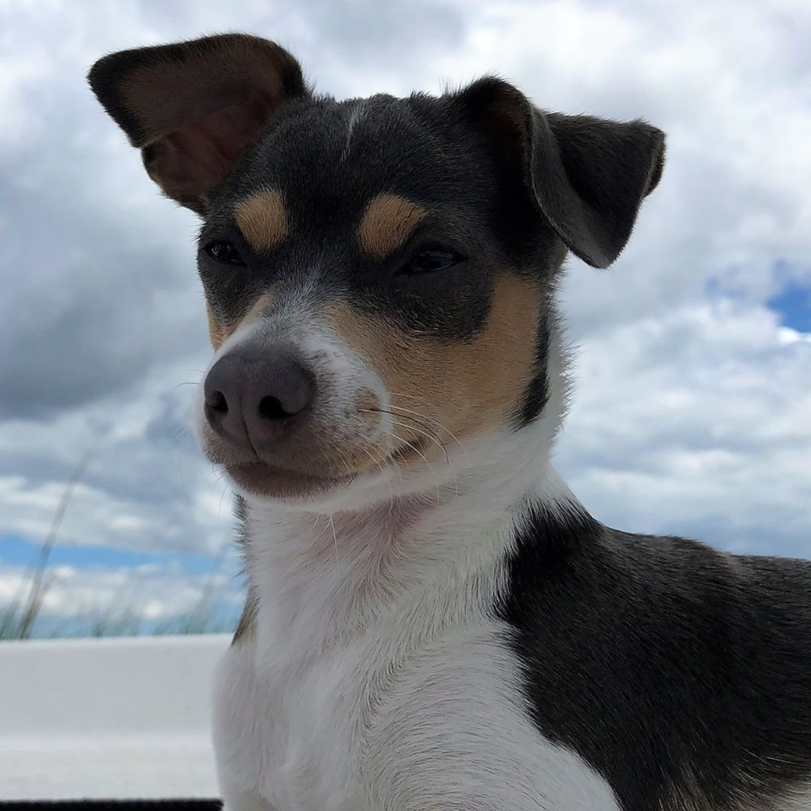 Gray silhouette of a person, head and torso, with a white circle indicating the head.