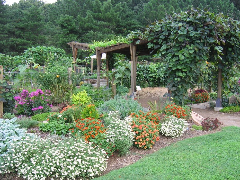 A vibrant garden featuring a wooden pergola covered in climbing vines, surrounded by lush flower beds and greenery.