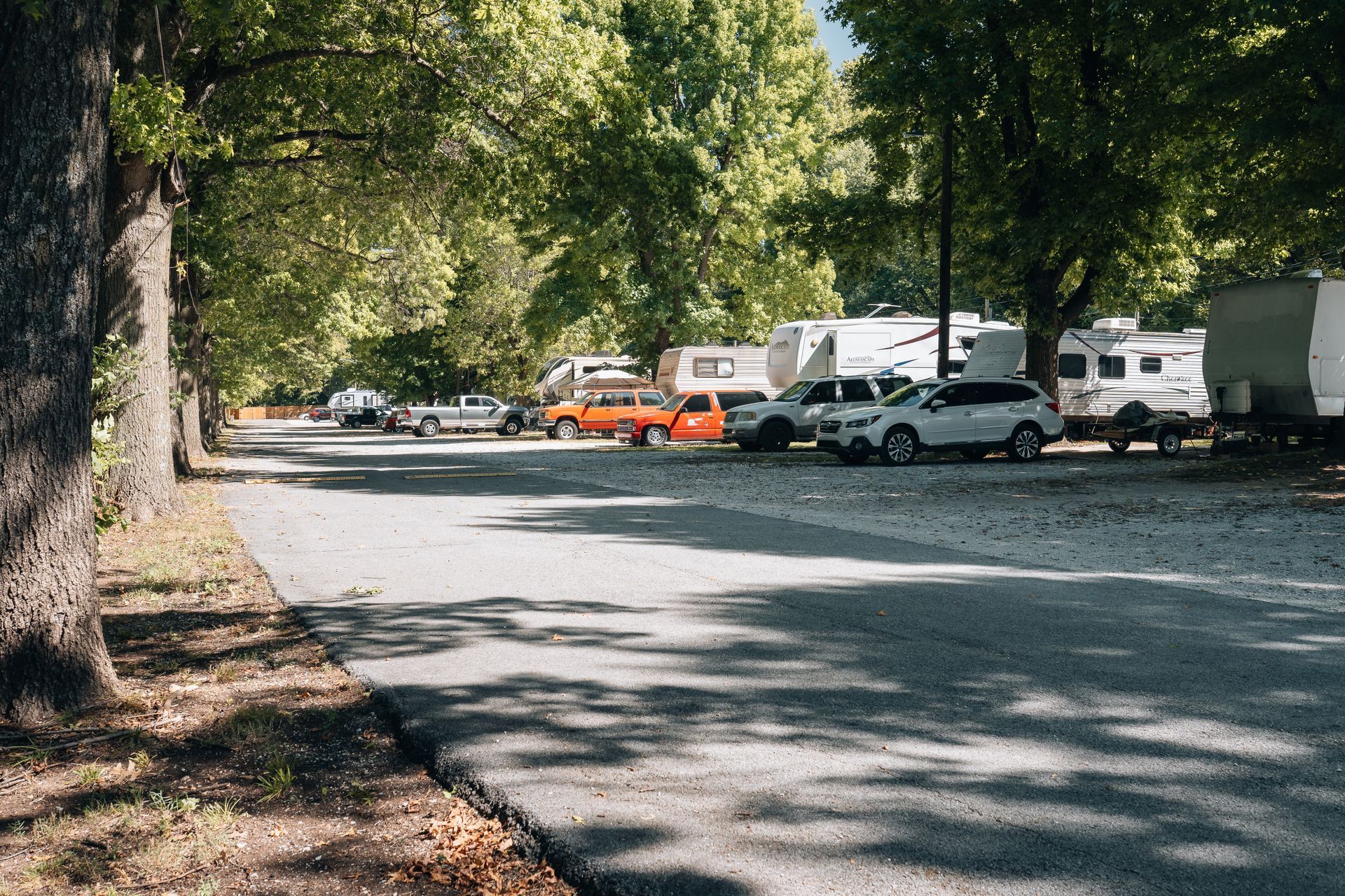 A gravel road lined with large trees leads to a campground area with several parked cars, trucks, and recreational vehicles.