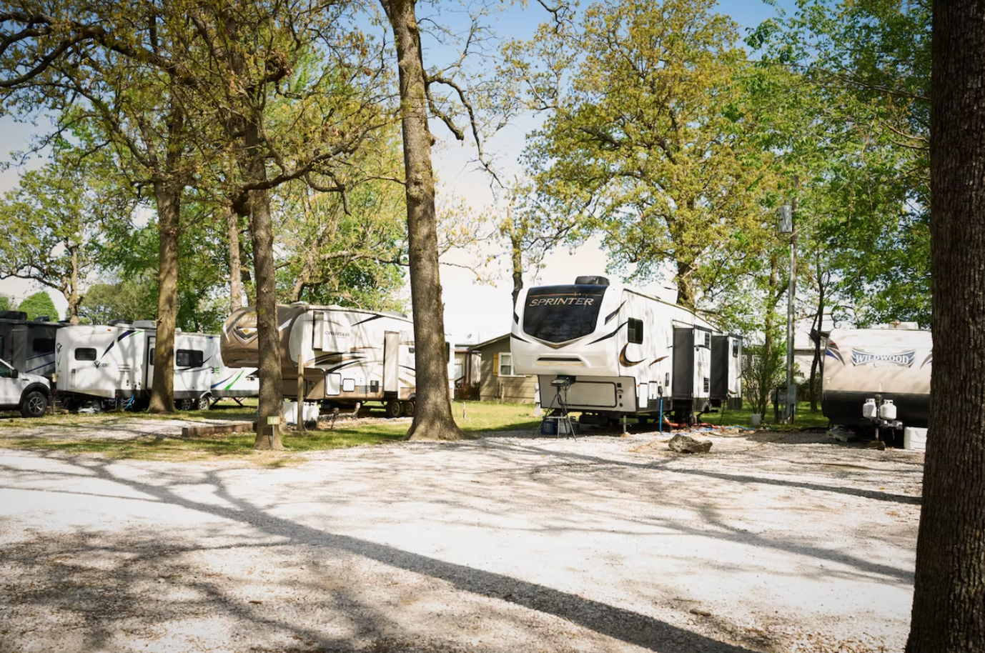 Several recreational vehicles parked at a sunny, tree-lined campsite with a gravel ground.