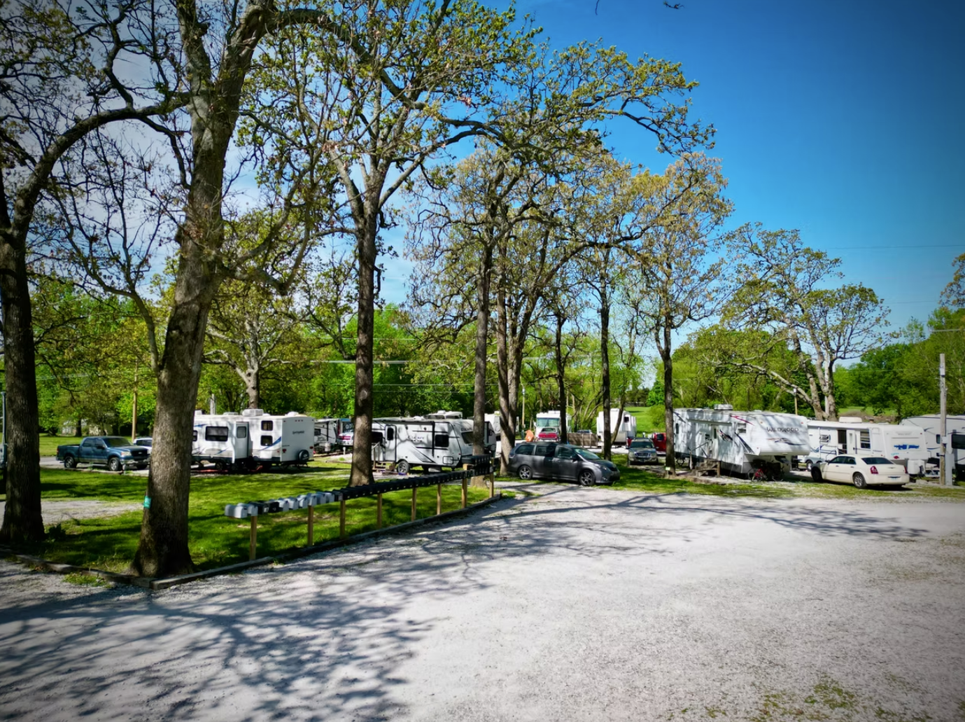A sunlit RV campground with parked trailers nestled among leafy trees on a clear day.
