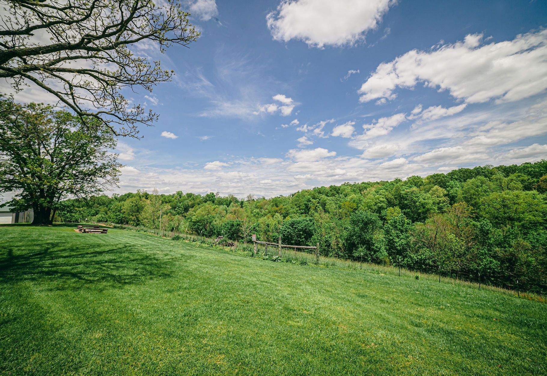 A lush green meadow slopes toward a dense forest under a bright blue sky with fluffy white clouds.