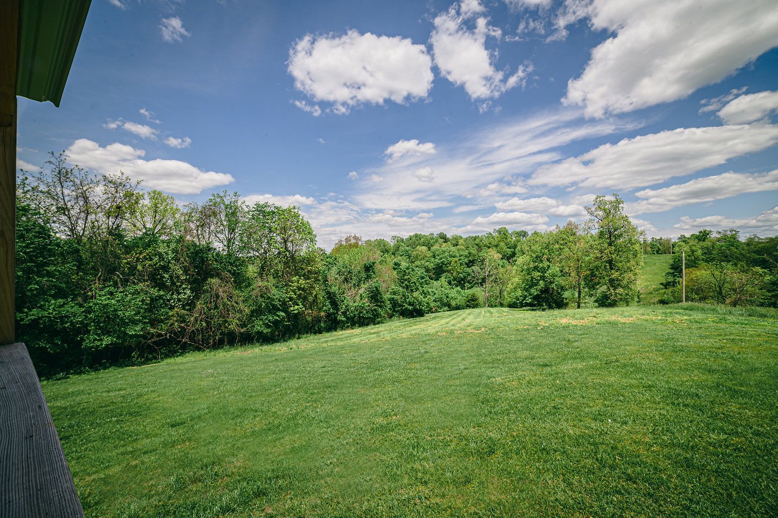 A bright, sunny day over a lush green meadow, bordered by a dense line of trees under a blue sky with scattered clouds.