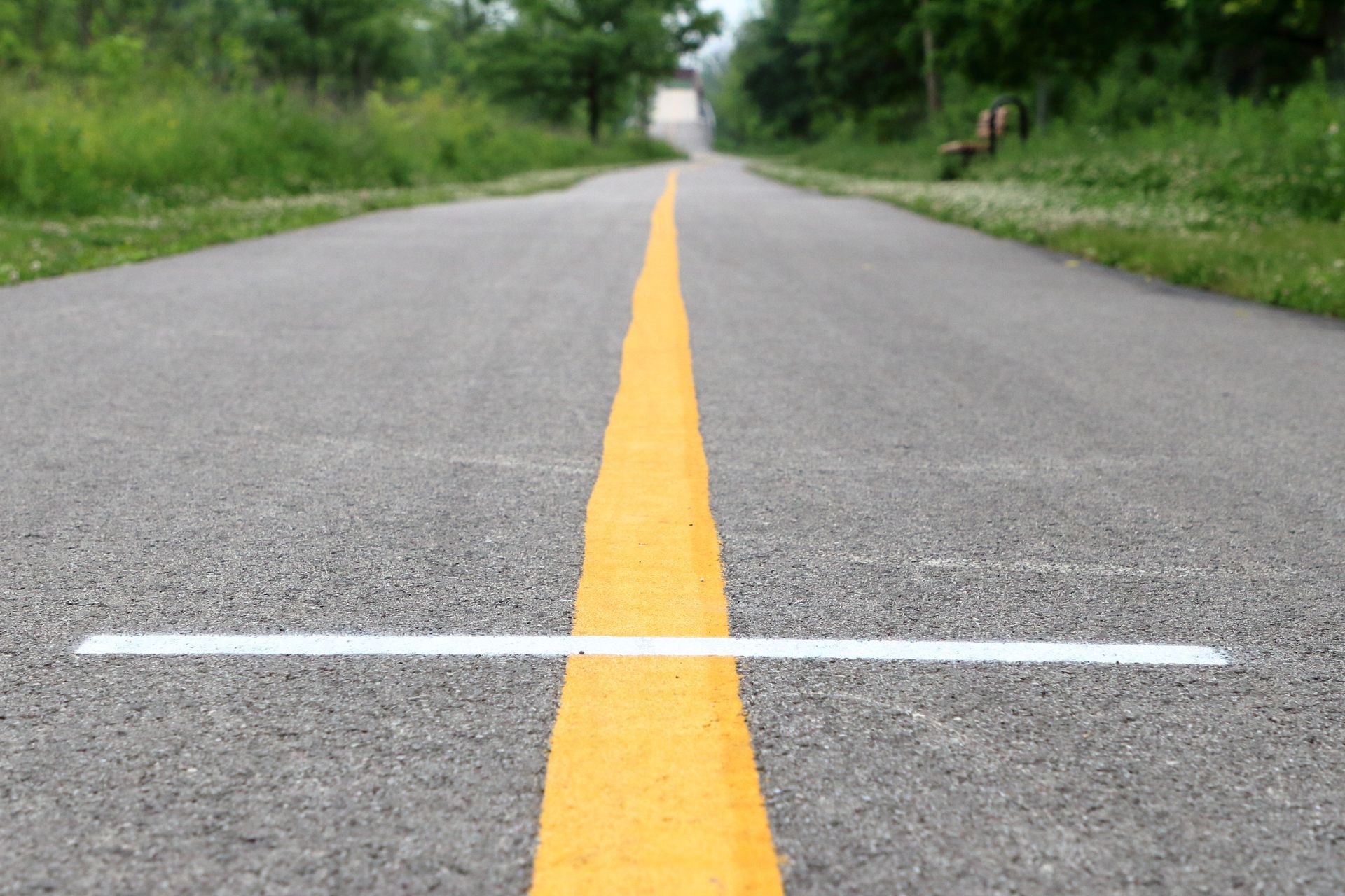 An asphalt path in a park with a vertical yellow center line and a horizontal white line crossing it.