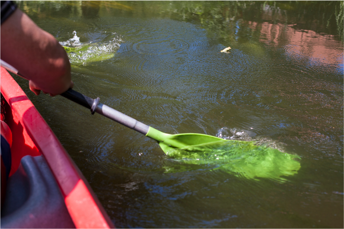 Home On the Lake Kayak Rentals