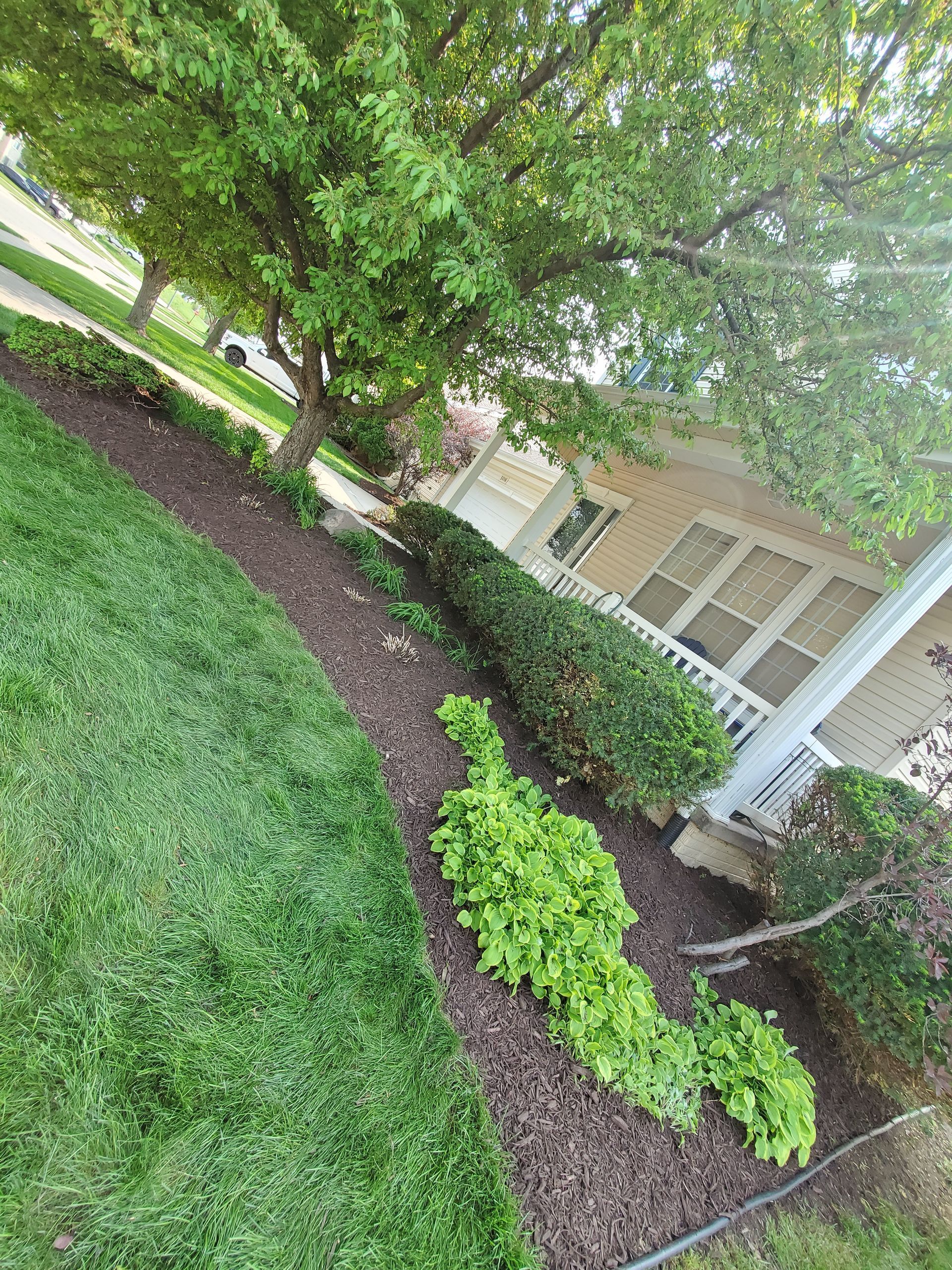 A house with a lush green lawn and bushes in front of it.
