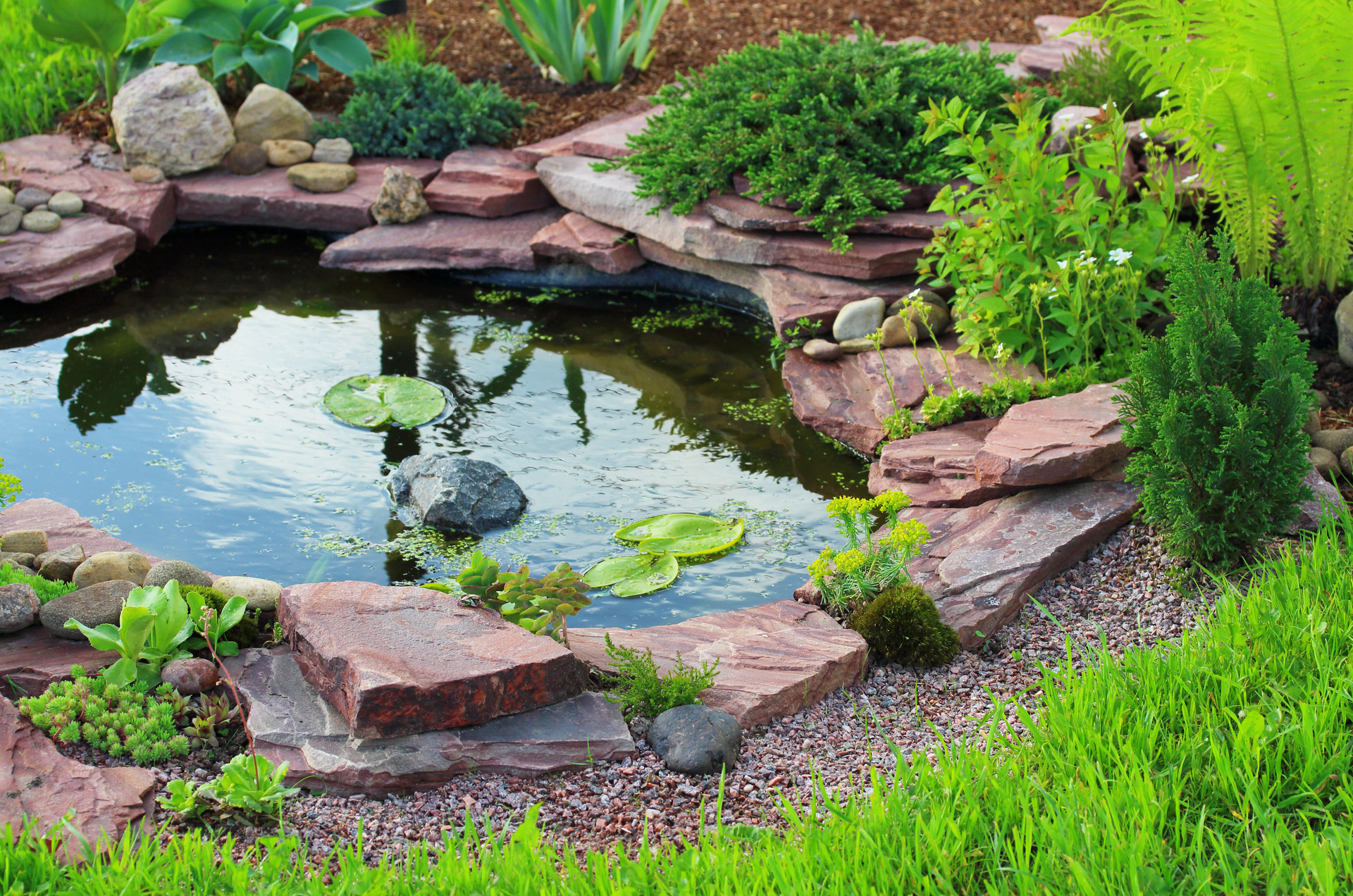 A small pond surrounded by rocks and plants in a garden.