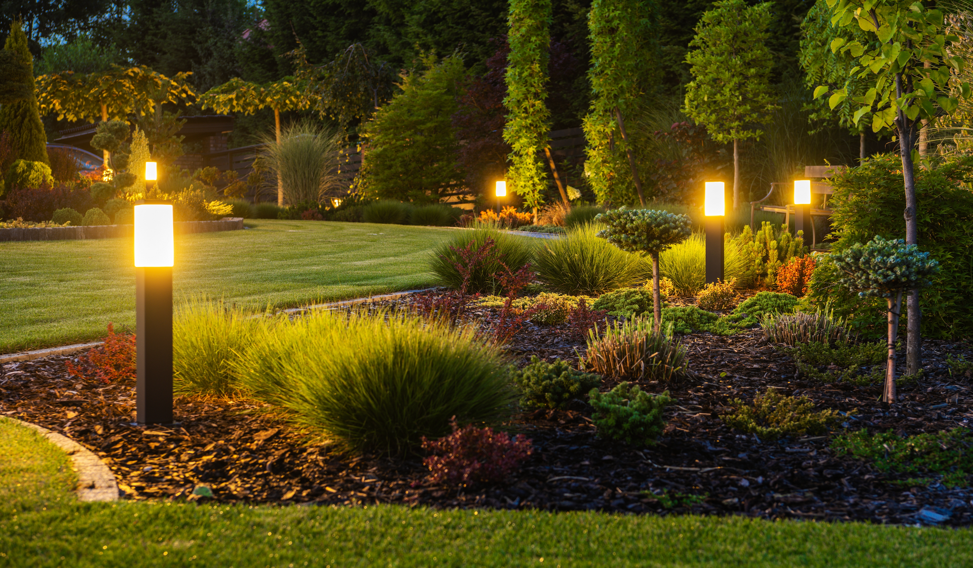 A garden with a lot of lights in it at night.