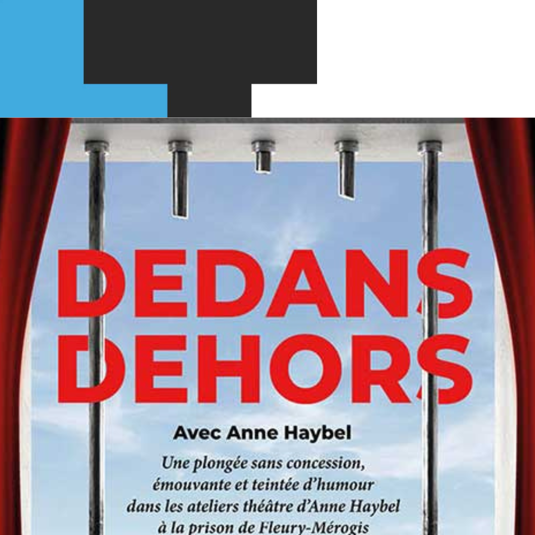 Una portada de llibres per a Inside Anne Haybel