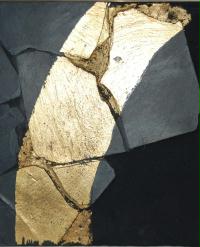 un dipinto di un pezzo di legno rotto su uno sfondo nero.