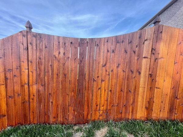 A wooden fence in a backyard with a blue sky in the background.