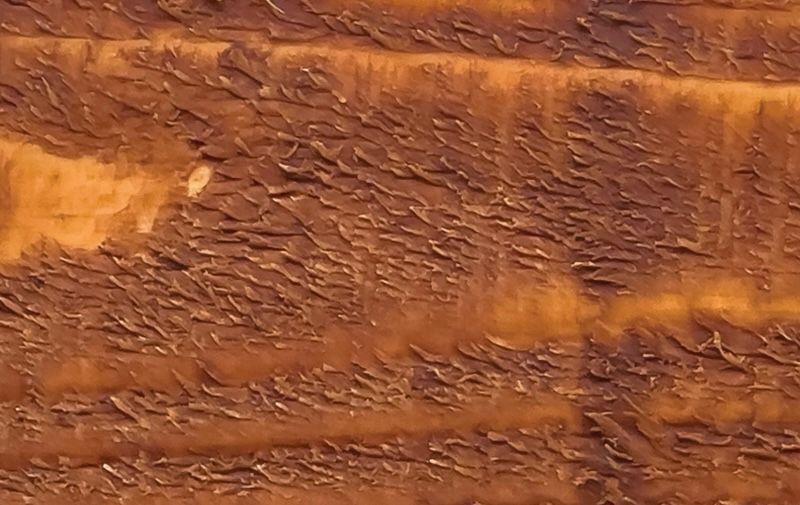 A close up of a piece of wood showing the texture of the wood.