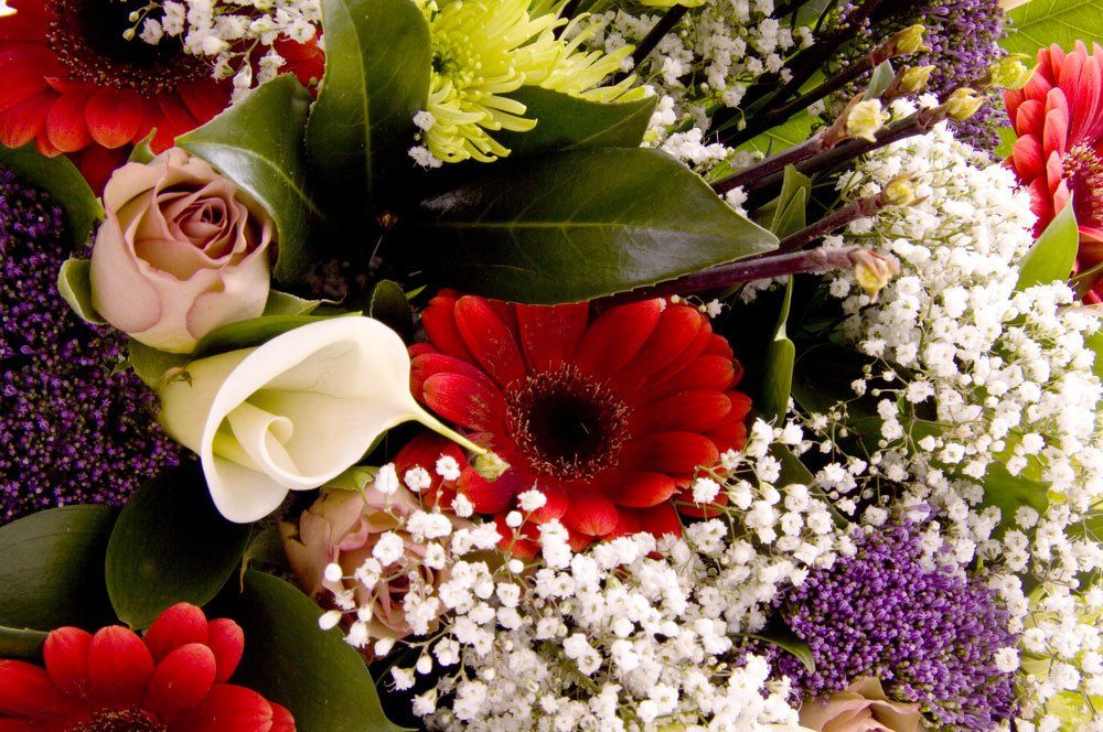 Funeral directors in Lichfield