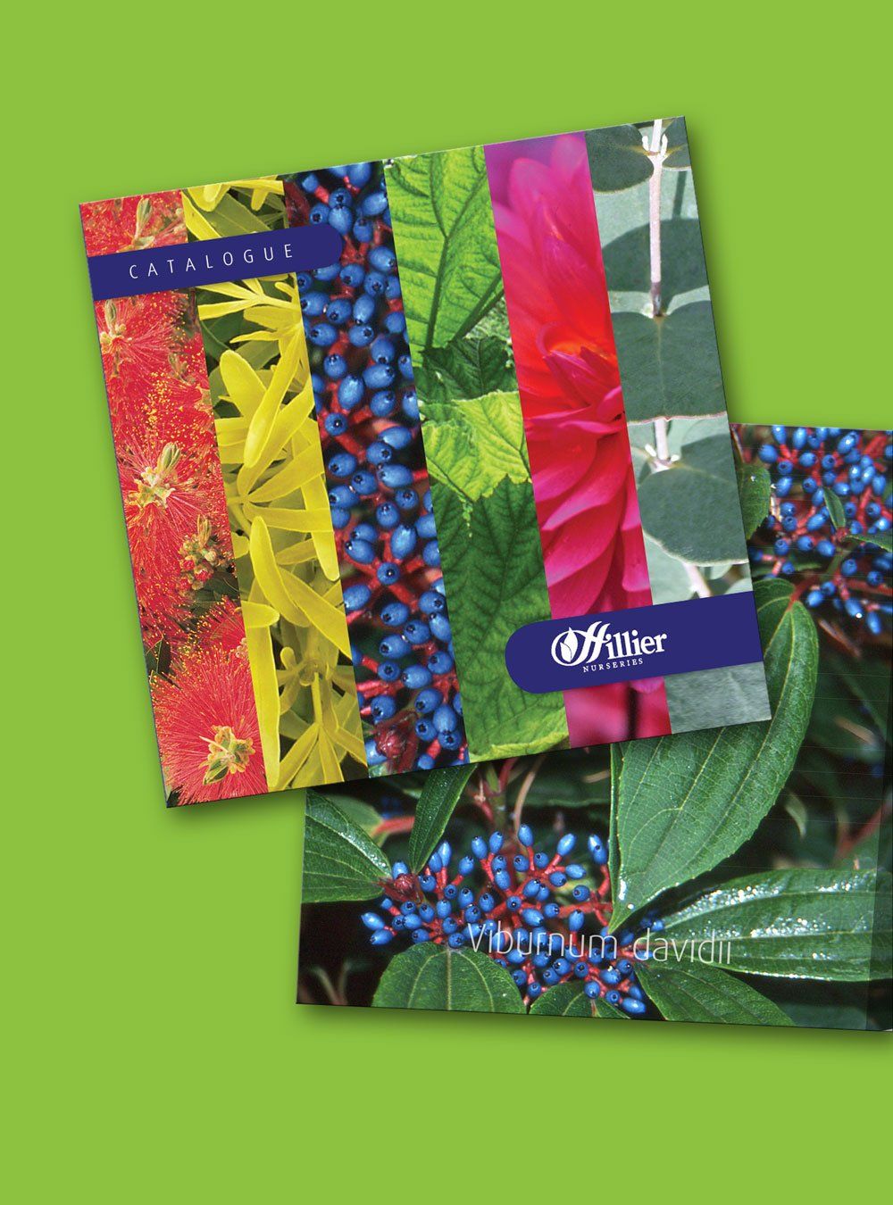 Hillier Brochure Design