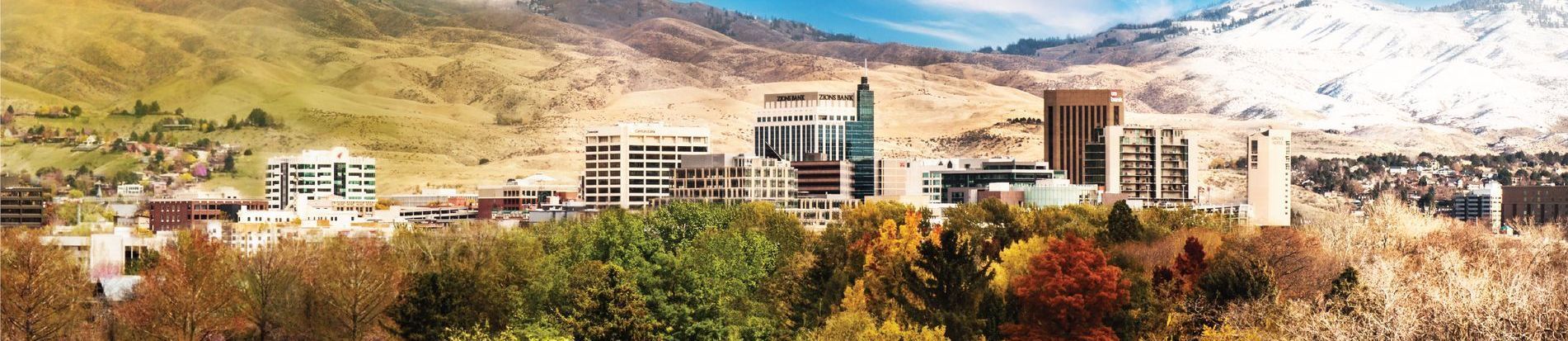 A blurry picture of a city surrounded by mountains and trees.
