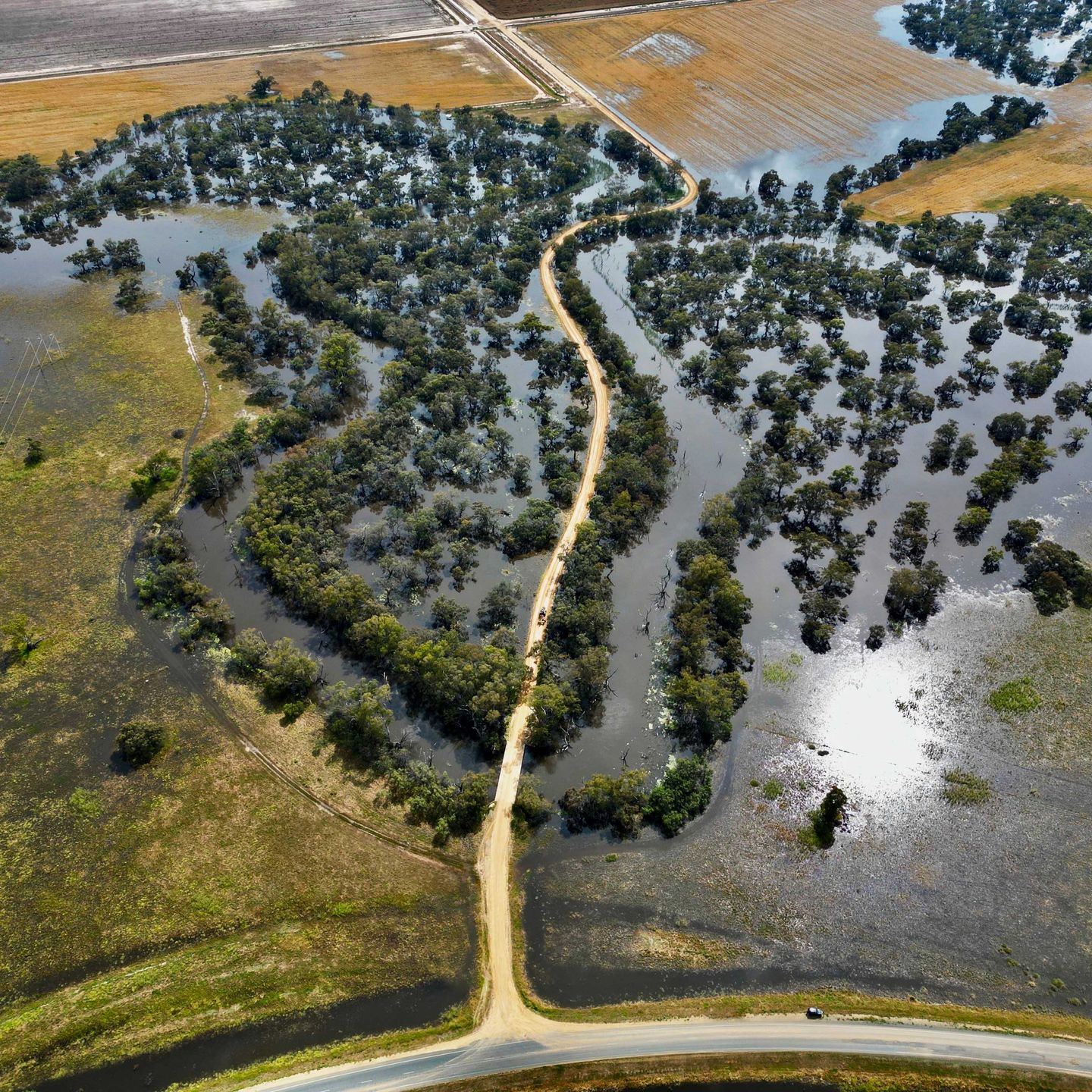 Deniliquin flood plain, NSW