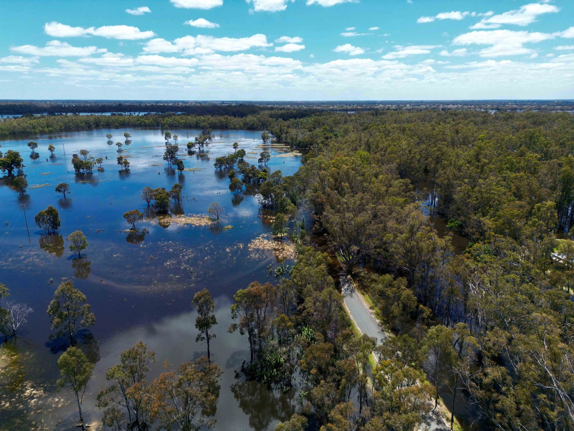 Deniliquin Floods, NSW