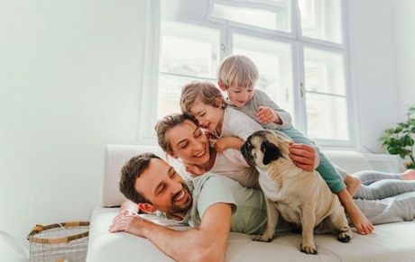 FUMIGACIONES HERNANDEZ