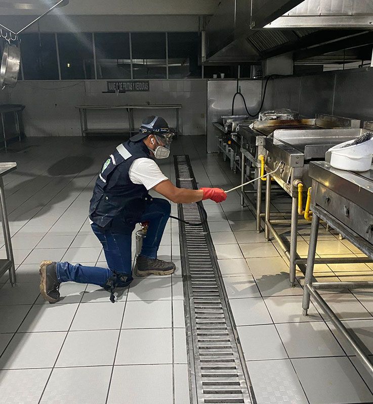 FUMIGACIONES HERNANDEZ