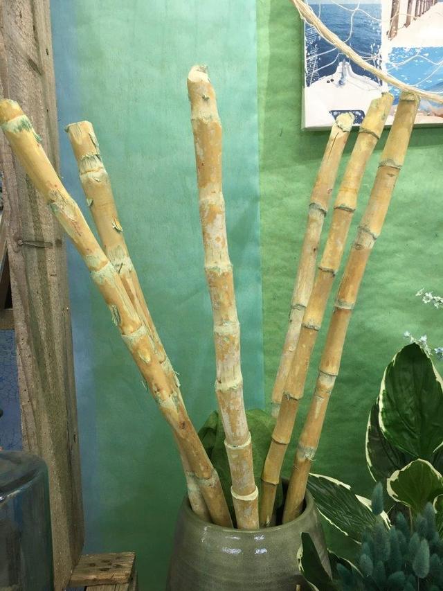 Canne di bambù decorative