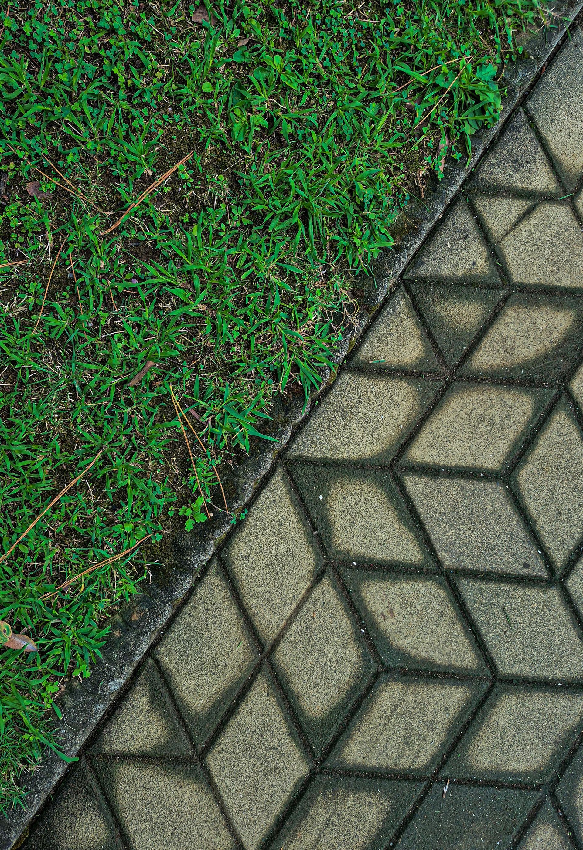 Green grass and textured gray walkway meeting diagonally.