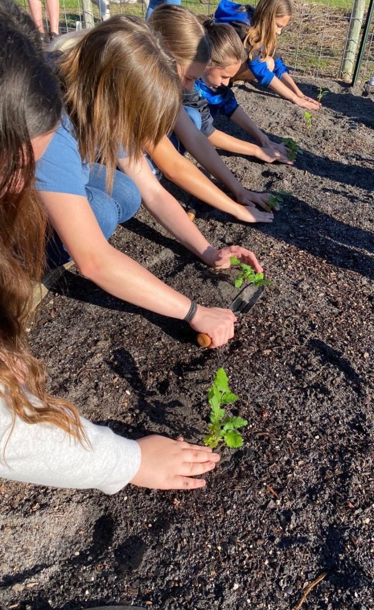 a group of children are planting plants in the dirt .