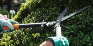 Hedge Shears — Yorktown Heights, NY — Whispering Pine Landscape Supply Corp