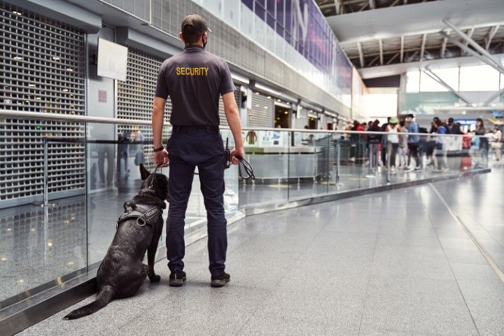 A security guard is standing next to a dog in an airport.