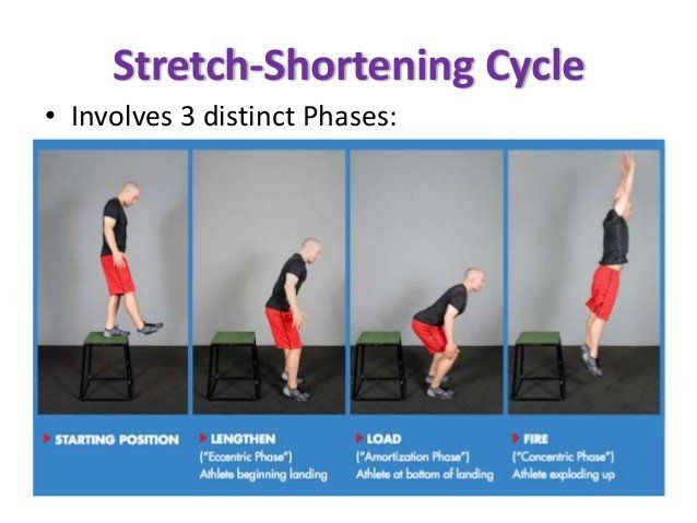 eccentric contraction exercises knee