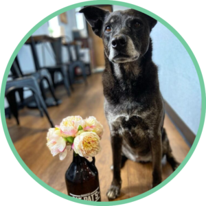 A dog is sitting next to a bottle of beer