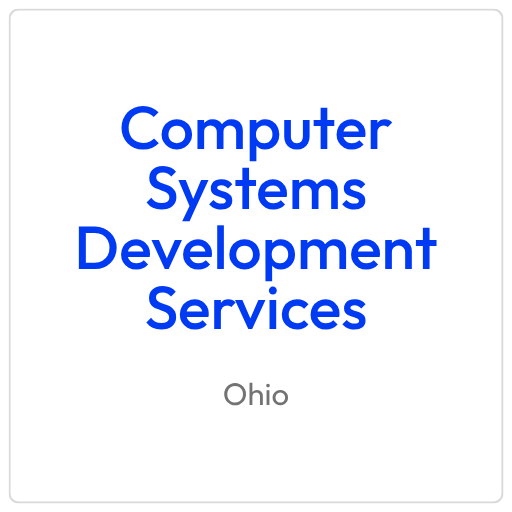 Computer Systems Development Services