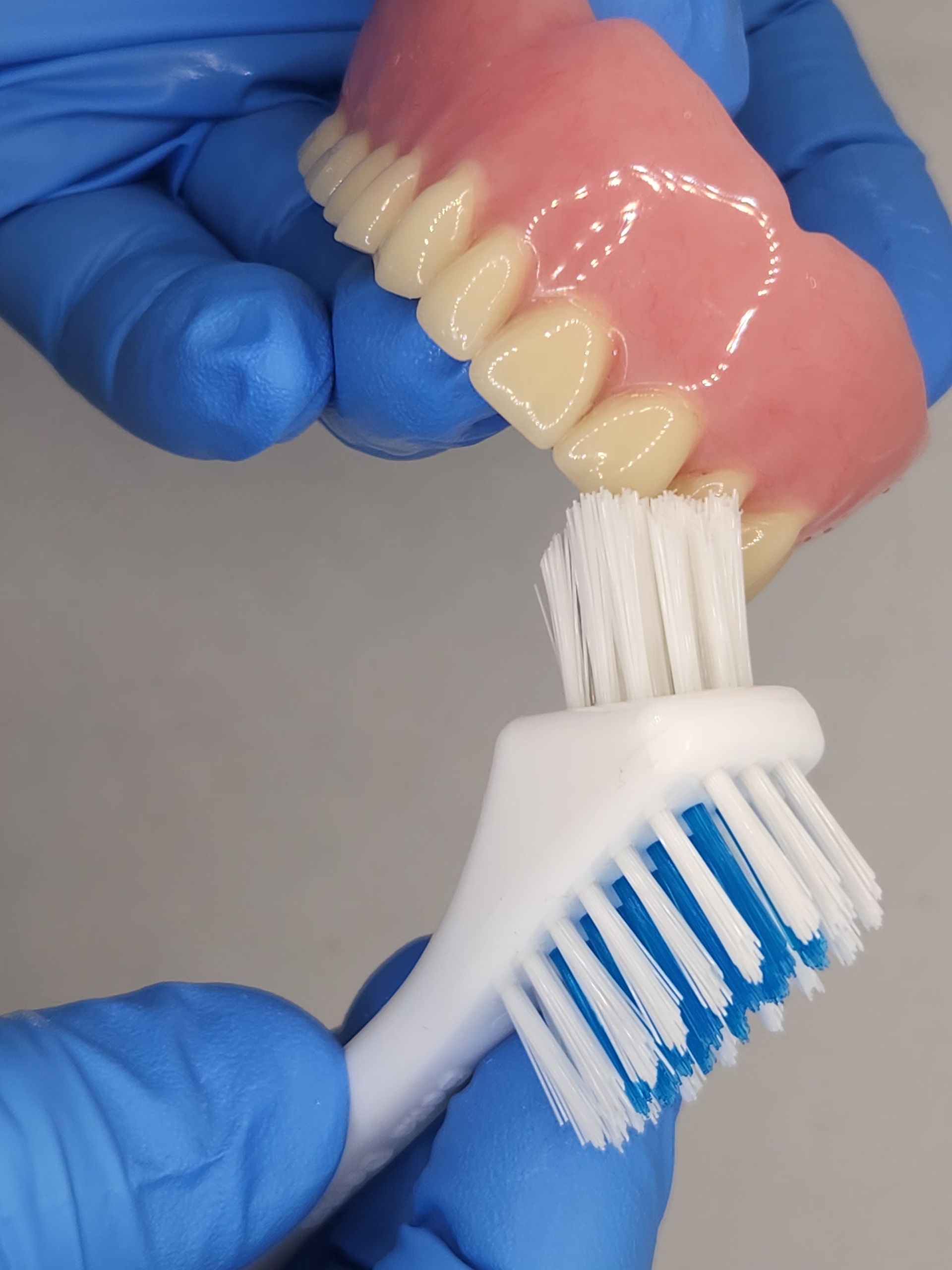 Close Up of Denture Cleaning with Special Denture Toothbrush — Goonellabah Denture Clinic In Goonellabah, NSW