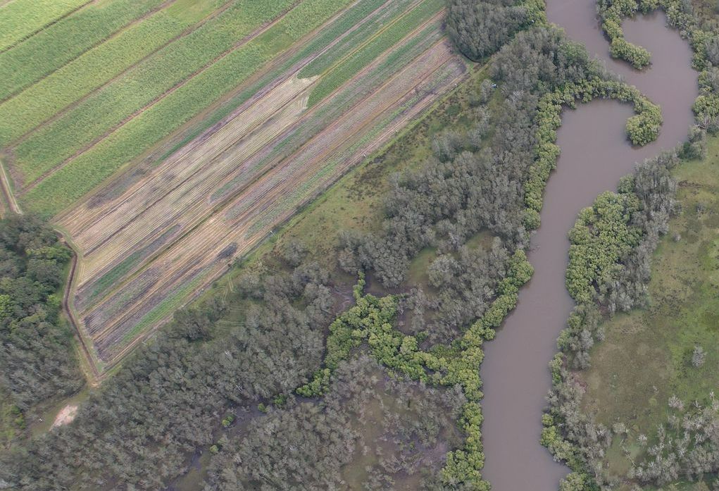 An Aerial View of a River Surrounded by Fields and Trees — Goonellabah Denture Clinic in Brunswick Heads, NSW