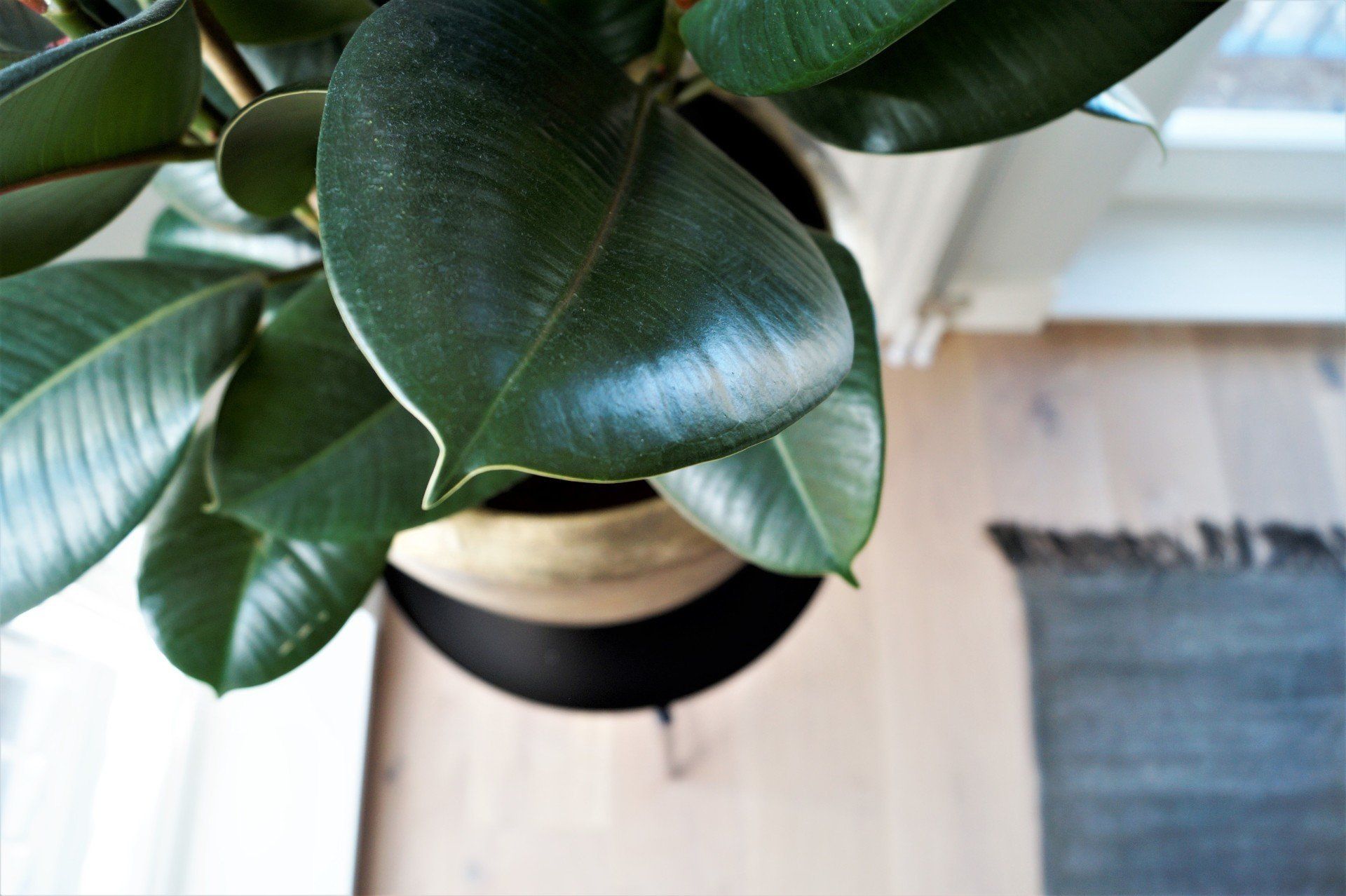 Groen in de slaapkamer.