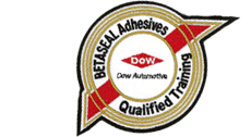 Betaseal Adhesives Qualified Training