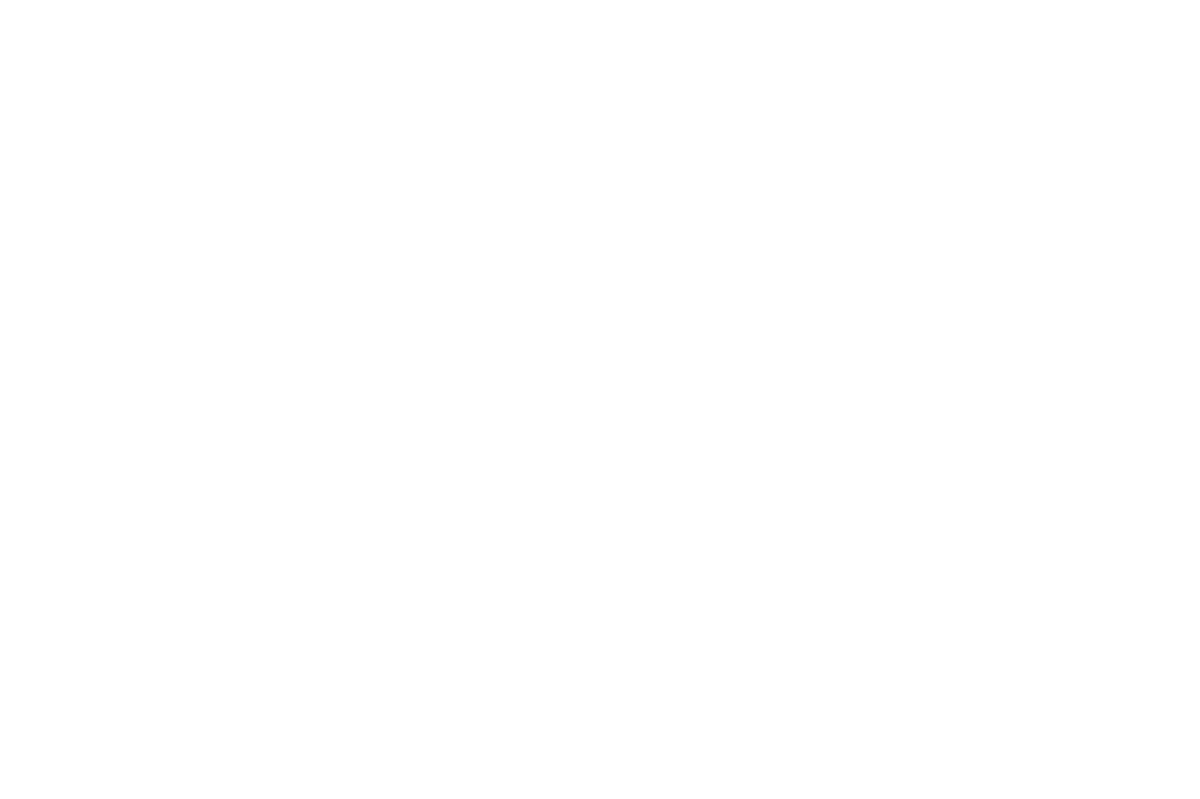 Serv Tech Pro logo
