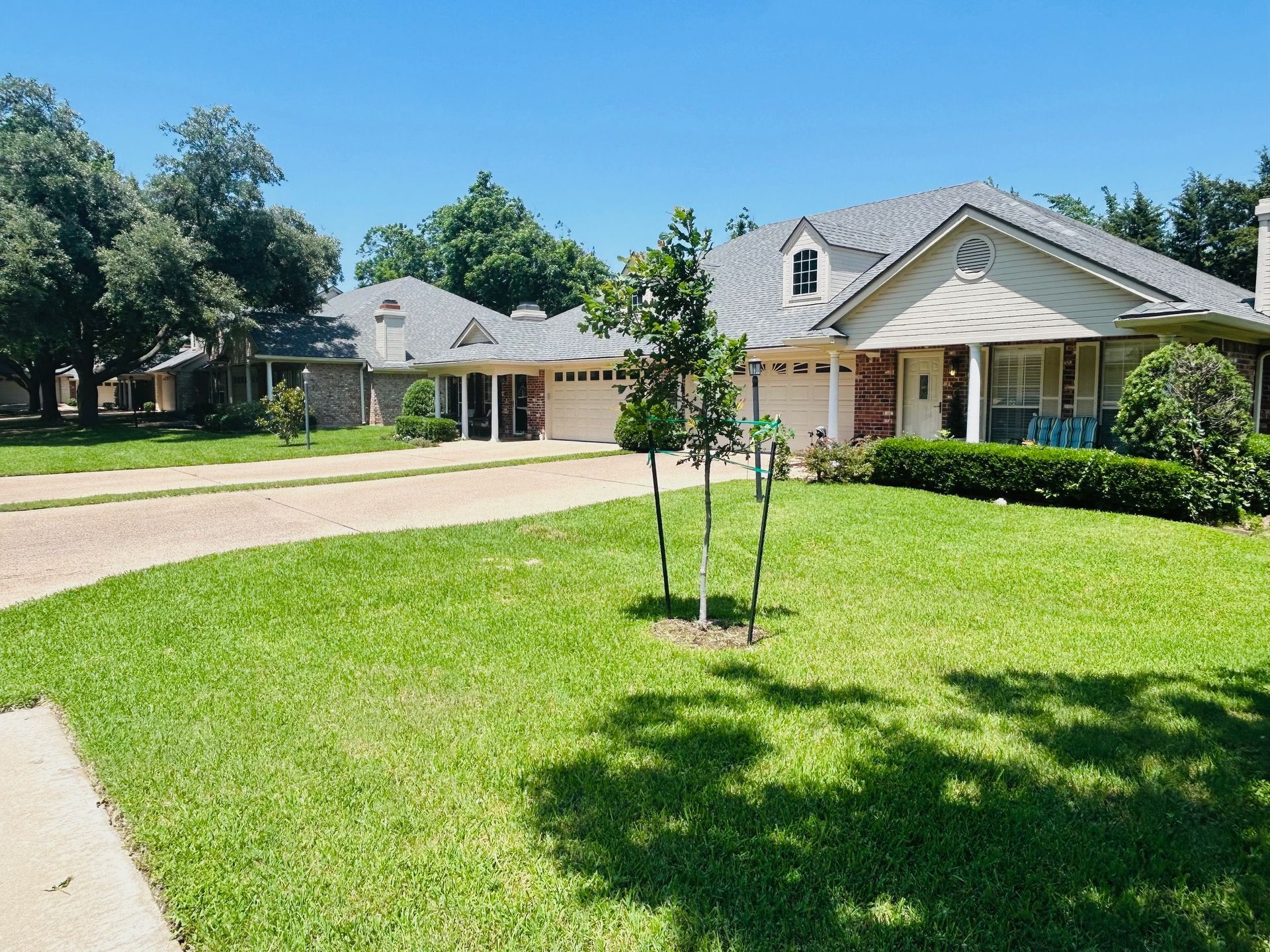A house with a tree in front of it