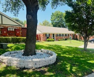 A tree in the middle of a lush green lawn in front of a house.