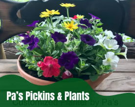 Pa's Pickens & Plants