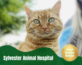 Sylvester Animal Hospital