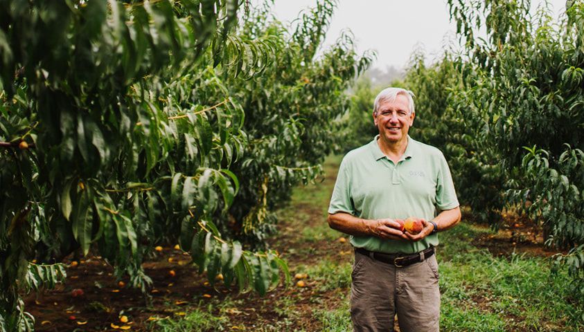 Georgia Chamber of Commerce