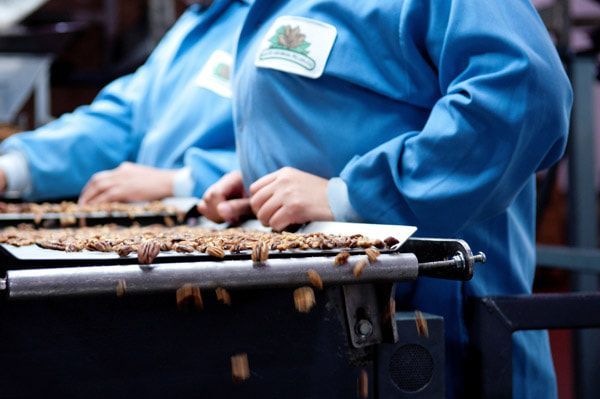 Locate South Georgia