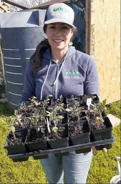 A woman is holding a tray of potted plants.